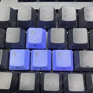 리얼포스 토프레 wasd 포인트 키캡