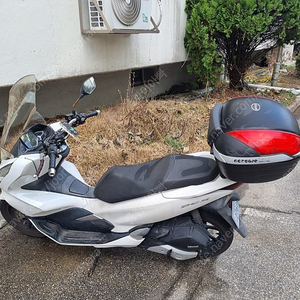 PCX 18년식 팔아요