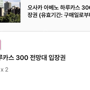 하루카스300 전망대 입장권 2매