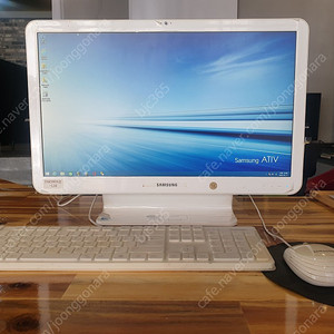 삼성 일체형 PC 아티브 DM500A2J-L10