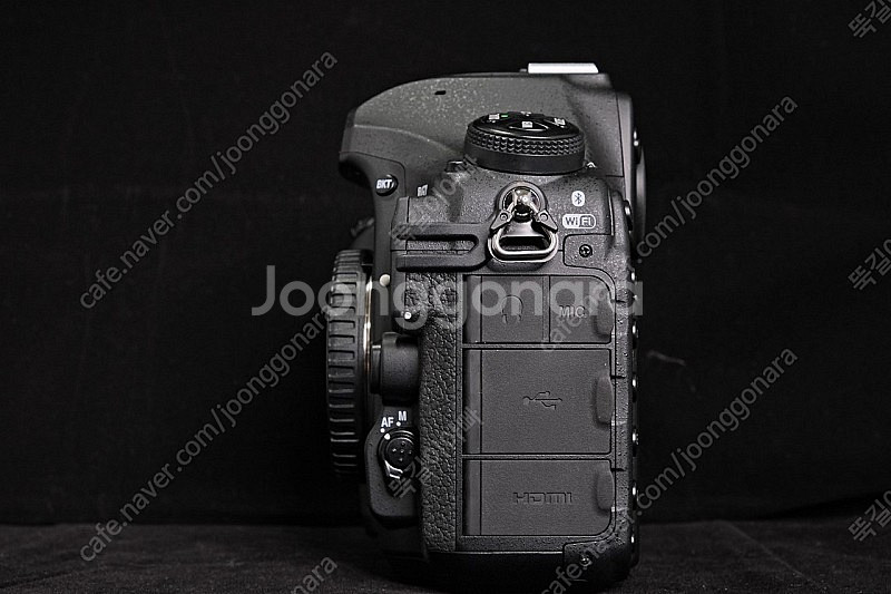 니콘 D850 , 24-70VR--3