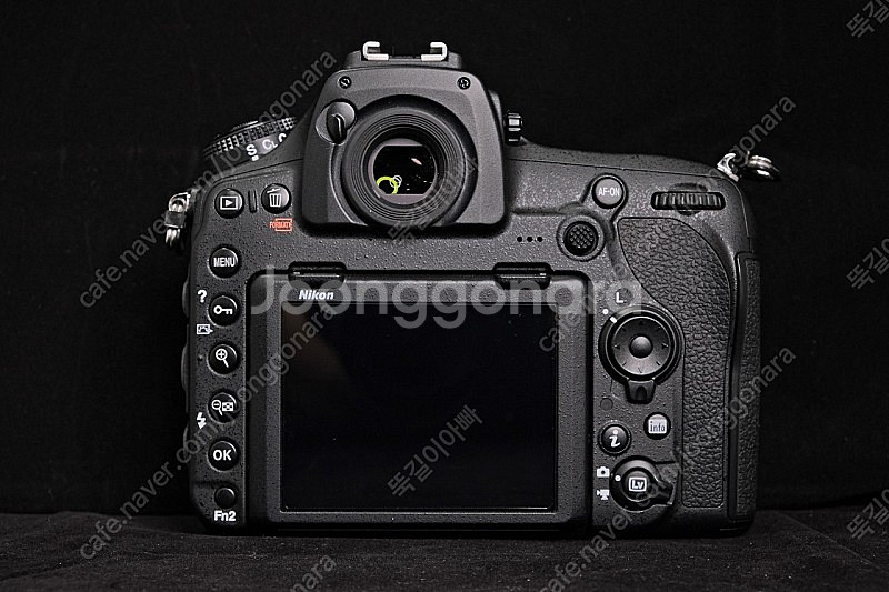 니콘 D850 , 24-70VR--4