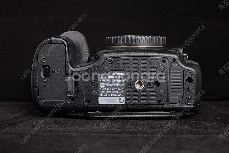 니콘 D850 , 24-70VR--5