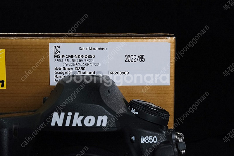 니콘 D850 , 24-70VR--6