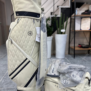 여성용 야마하페미나 신형 풀세트