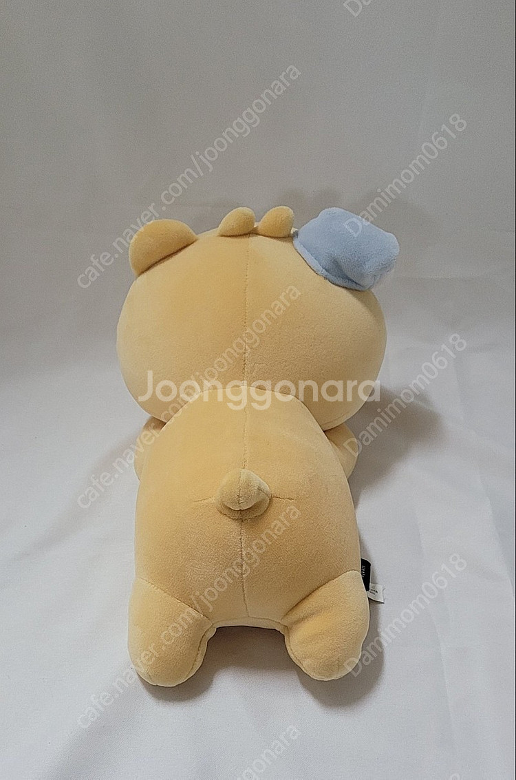카카오프렌즈 라이언 각종 물품, 에버랜드 악세서리 용품...--2