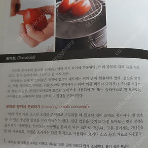 요리책 프로페셔널 셰프 professional chef