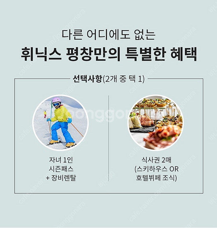 휘닉스파크 시즌프라임 (아이 1인 시즌권&렌탈 무료) ...--2