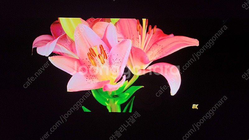 갤럭시 탭S6 256g + 정품 키보드 판매--9