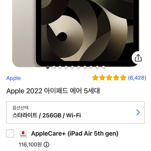 아이패드에어 5세대 256gb wifi 스타라이트