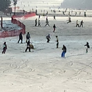 지산리조트 시즌권 전일권 판매(양도) 합니다.