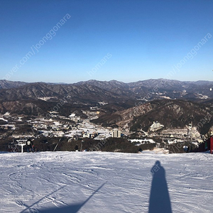 휘닉스평창(파크) 성인 남 시즌권 양도합니다.