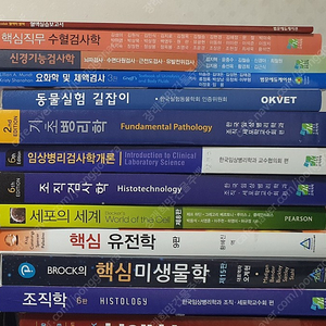 임상병리학과 전공책 팝니다!