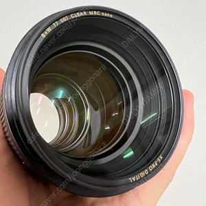 캐논 RF 85mm F1.2 알만두 & EF 85mm