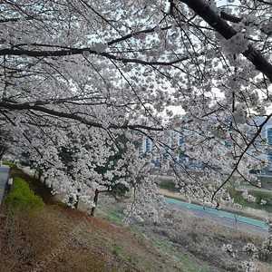 메가박스 일반관람권 2인 / 투썸플레이스 마스카포네 생크림(믹스드베리)