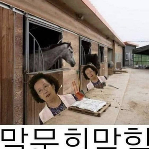 베베드피노 스키복 120사이즈 구해요