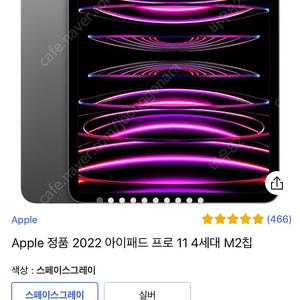 아이패드프로 M2 11인치 256