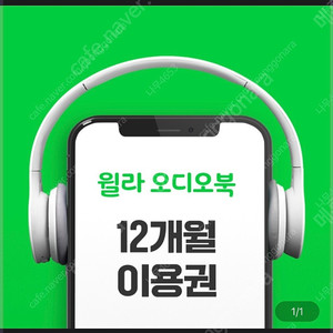 윌라 12개월 가족공유