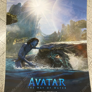 아바타2 롯데시네마 리얼디 포스터