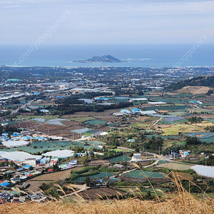 구몬 수학,국어,한자 구합니다