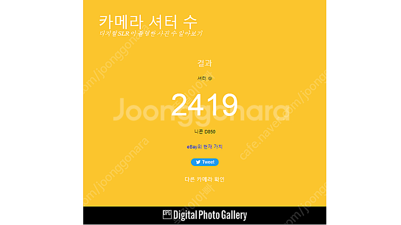 니콘 D850--7