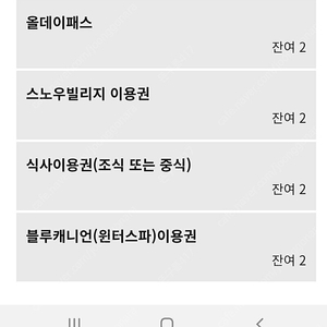 휘닉스파크 1.9-1.10 스노우빌리지 각 2만원 2장