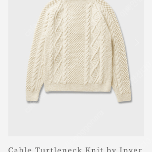 얼바닉30 Cable Turtleneck Knit by Inverallan