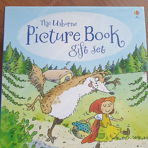 The usborne picture book