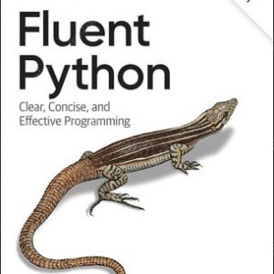 fluent python 2nd Edition (2판) 팝니다.