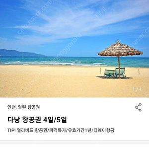 다낭 항공권 인천 얼린항공권 유효기간 1년 티웨이 항공 2023년 10월 유효기간/ 다낭 3박 5일 항공권 팝니다(양도합니다). 성인2명 소아1명 총 3명