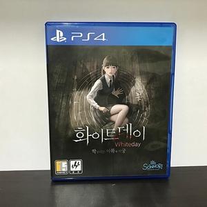 PS4 화이트 데이