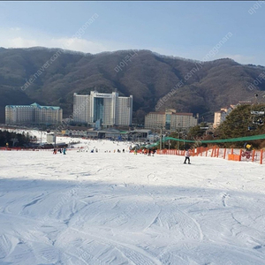 비발디 리프트권 7시간