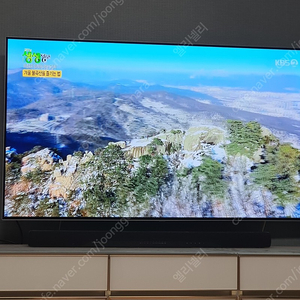 LG OLED TV 판매합니다