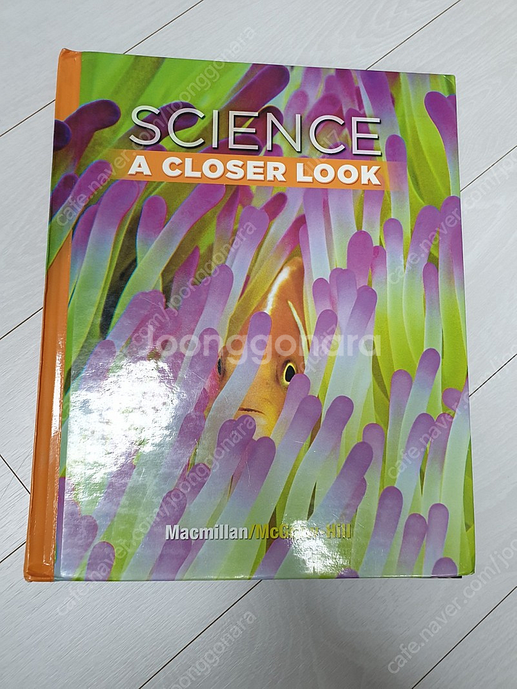 Social Studies 소셜스터디즈 2000원--1