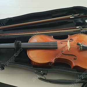 홍성우 전문가용 바이올린