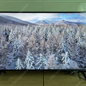 LG TV UHD 43UP8300ENA 43인치 울트라HD