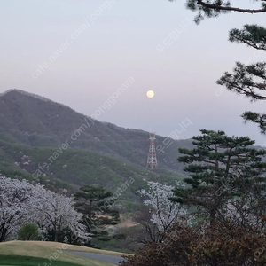 배민 요기요 90% 결제해드려요~