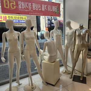 마네킹 무료나눔 합니다