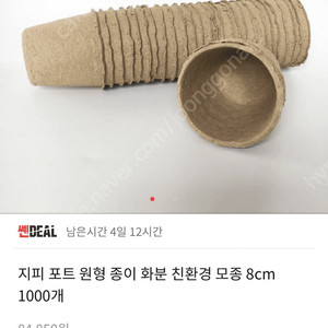 종이화분 1000개