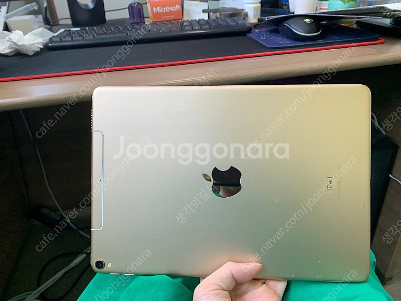 아이패드 프로 1세대 10.5 256G 셀룰러 모델--1