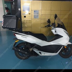 세종 pcx 125cc 2만키로