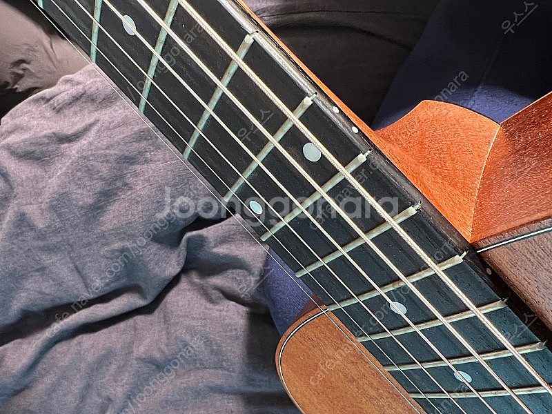 테일러 gs mini 마호가니 왼손잡이용--1