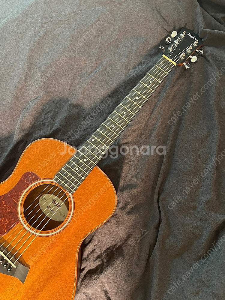 테일러 gs mini 마호가니 왼손잡이용--3