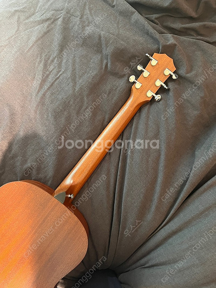 테일러 gs mini 마호가니 왼손잡이용--4