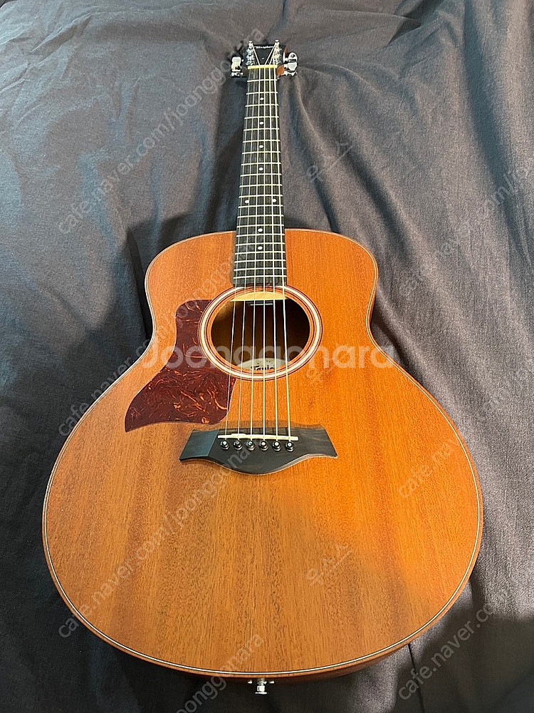 테일러 gs mini 마호가니 왼손잡이용--6