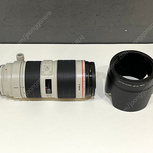 캐논 EF 70-200mm F2.8L IS III USM (새새아빠백통)