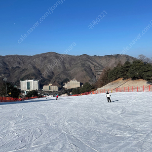 대명 비발디파크 소노벨 1월7일 스위트 패밀리 양도 합니다