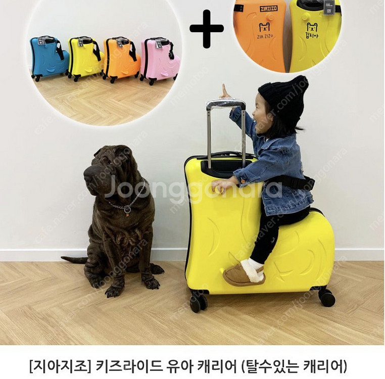 지아지조캐리어 20인치 옐로우+캐리어커버 세트 새상품 ...--0