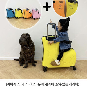 지아지조캐리어 20인치 옐로우+캐리어커버 세트 새상품 판매합니다.(택포)