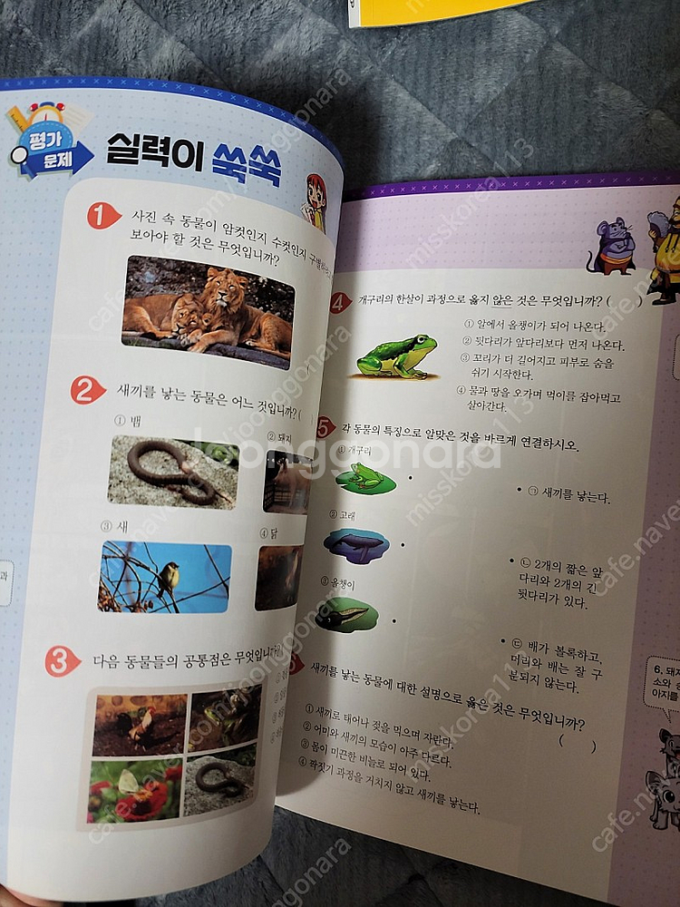 why 교과서중심 3.4학년--1